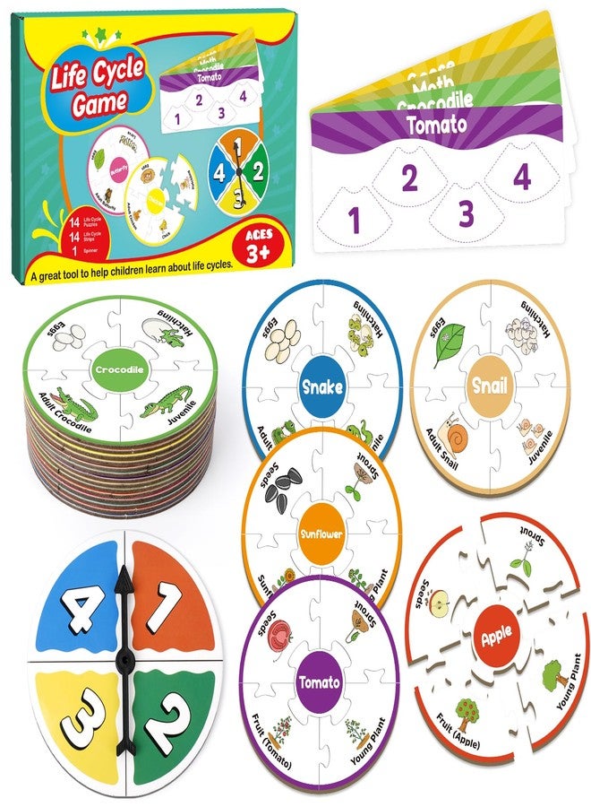 Edulok Life Cycle Toys for Kids, Toddler Puzzles, Preschool Science Kits for Kids 3-5, Kindergarten Learning Activities, Learning Education Toys, PreK Classroom Essentials, Homeschool Supplies - Image 1